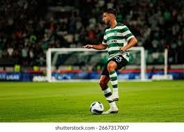 WTT多哈冠军赛女单签位：王曼昱首轮战日本主力！国乒有望包揽4强